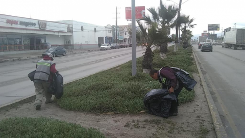 Recolectan toneladas de basura  de camellones