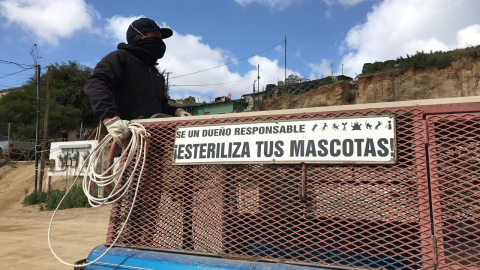 Policía Ecológica aplica normatividad mediante operativo de control canino