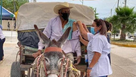 Hombre de la tercera edad acude en burro a recibir su vacuna contra el Covid-19