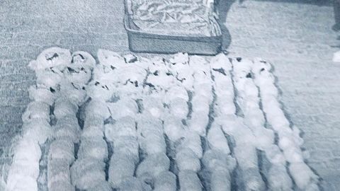 SENTENCIAN A PERSONA QUE TRANSPORTABA MÁS DE 80 KILOS DE METANFETAMINA