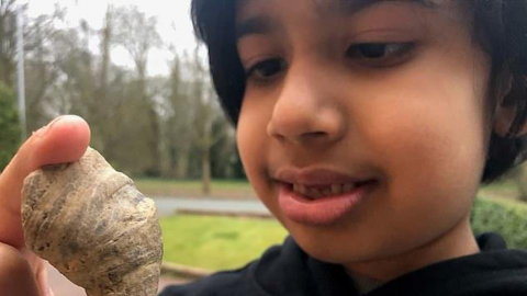 Niño de 6 años encuentra en su jardín fósil de hace 488 millones de años