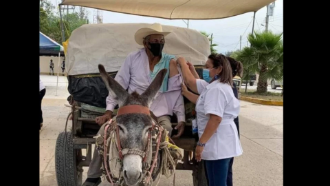AMLO destaca ''cifra récord para un solo día'' de adultos mayores vacunados