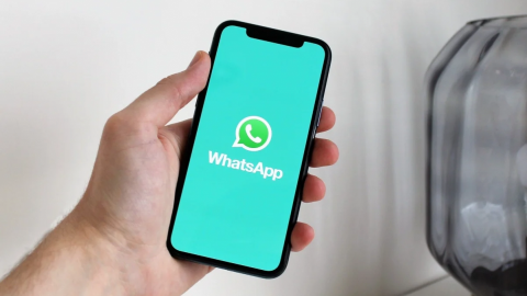 WhatsApp lanza nuevos stickers, así puedes descargarlos