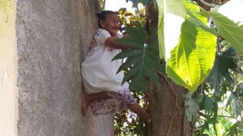 Captan a abuelita trepando un árbol con facilidad; video se vuelve viral