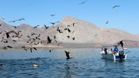 Llaman a pagar derechos para ingresar a zonas naturales protegidas de BC