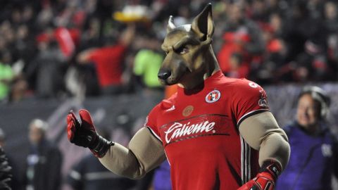 Club Tijuana ya tiene nuevo DT