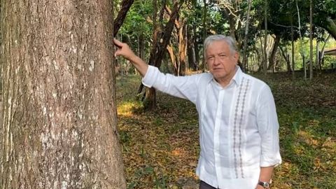 AMLO propondrá a Biden dar visas a campesinos del programa Sembrando Vida