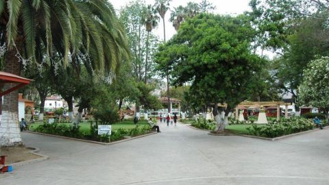 Retirarán puente de madera instalado en el Parque Revolución