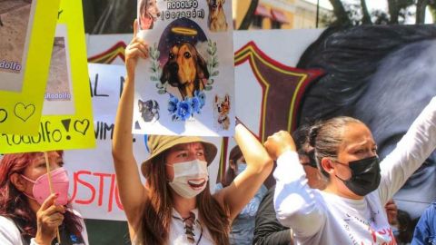En Sinaloa, vinculan a proceso a presunto asesino de perrito Rodolfo Corazón