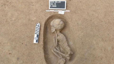 Hallan 110 tumbas prehistóricas en Delta del Nilo; había restos de bebés