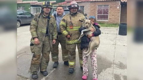 Perrito es rescatado de un incendio por bomberos de Tijuana