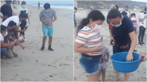 En Oaxaca, Semar y vecinos de Salina Cruz liberan a 44 crías de tortuga golfina