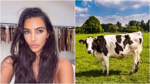 Nombran una vaca Kim en honor a la Kardashian