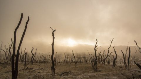 Expertos indican que el norte de México está en su peor sequía en la historia