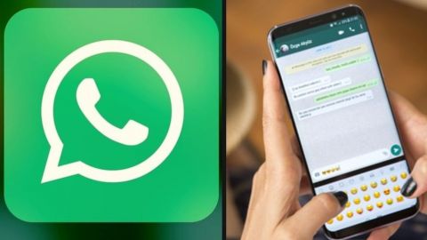 Con chatbot, WhatsApp e INE combatirán desinformación y noticias falsas
