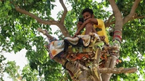 Joven en India vive arriba de árbol para no contagiar a su familia de covid-19