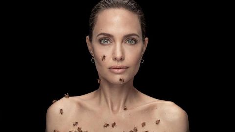 ¡Por el Día Mundial de las Abejas! Angelina Jolie posa cubierta por un enjambre