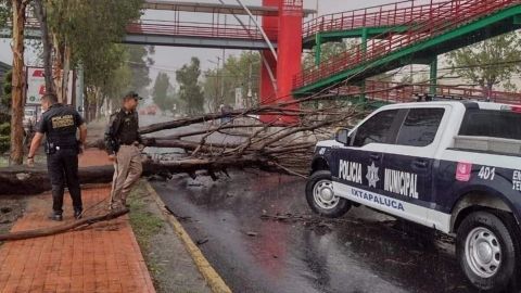 Lluvia, granizo y viento arrancan árboles y dejan sin luz al Estado de México