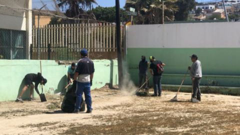 Residentes de El Sauzal limpian entornos deportivos
