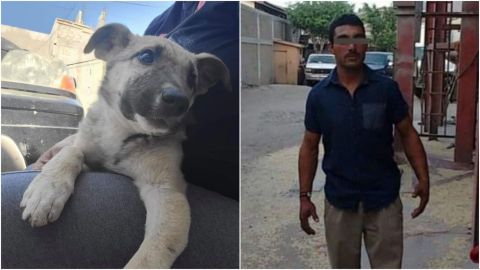 Hombre abusaba sexualmente de cachorro en Tijuana