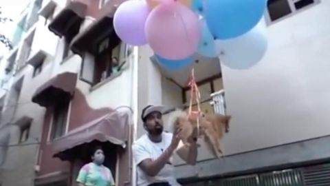 🎥 Detienen a youtuber por ‘volar’ a su perro con globos