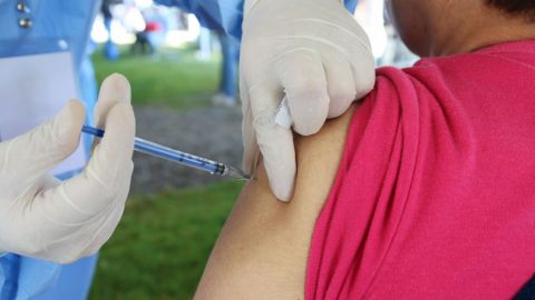 Se agrega modulo de vacuna para adultos de 50 años y más, además de embarazadas
