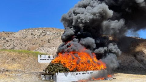 Incineran más de 33 toneladas de narcóticos en BC, Sinaloa y Nuevo León