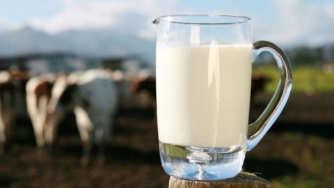 La leche, esencial en la lucha contra la pobreza en México