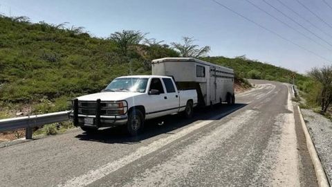 Rescatan a 96 migrantes abandonados en un remolque de caballos en Hidalgo