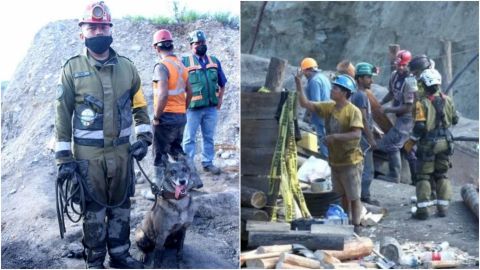 Binomios caninos se suman a rescate en mina Micarán en Coahuila