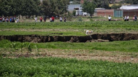 Perro cae al socavón en Puebla; gobierno analiza posible rescate