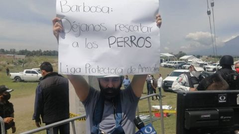 Rescatistas piden que les permitan sacar a los perritos del socavón en Puebla