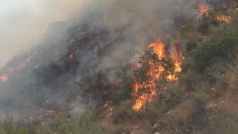 Alerta por incendios forestales ante aumento de temperaturas