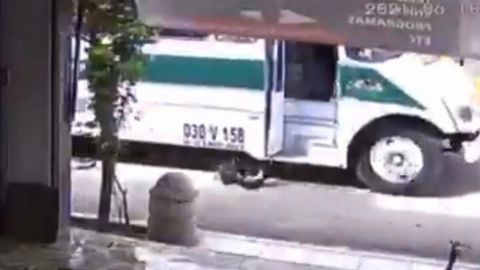 Suspenden licencia a conductor que arrolló a un perrito en Oaxaca