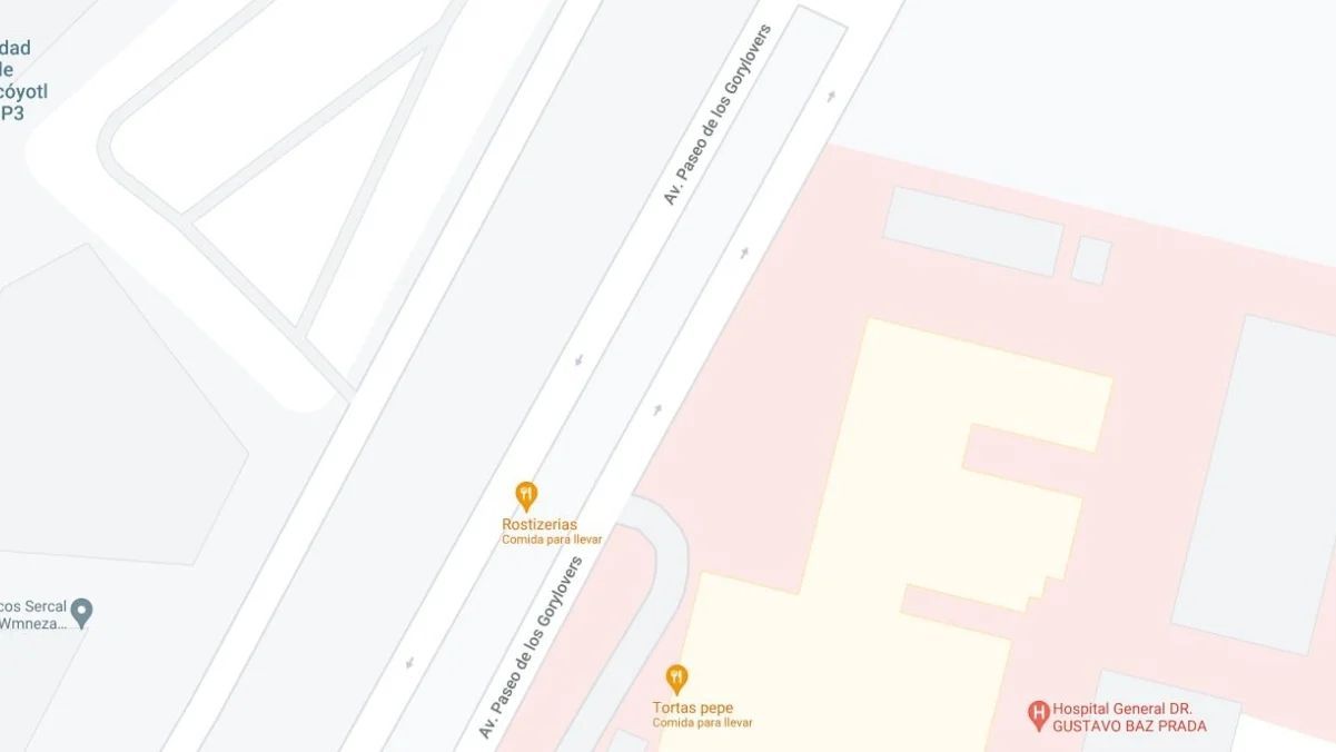 En Google Maps, usuarios renombran calle en Neza como Avenida de los  Gorylovers