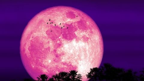 ‘Luna de fresa’, la última Superluna del año iluminará el cielo