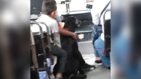 Chofer deja subir a niños de 'bajos recursos' con su perro al camión