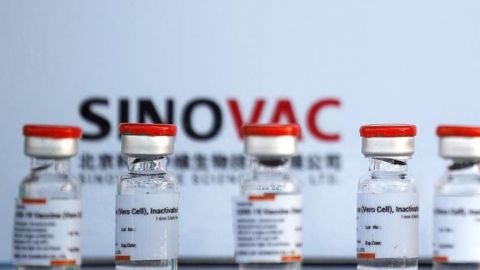 Vacuna anticovid Sinovac es menos eficaz contra variantes Alfa, Gamma y Lambda