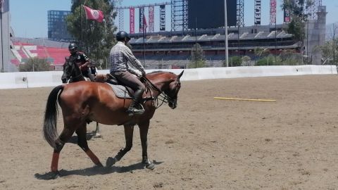 Celebrarán el 29 Clásico Caliente Jockey Club el próximo fin de semana