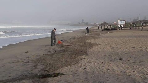 Visitantes dejaron toneladas de basura en playas de Ensenada