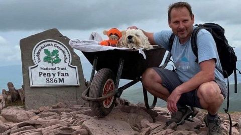 📷 VIRAL: Perrito con cáncer da último paseo en su montaña favorita