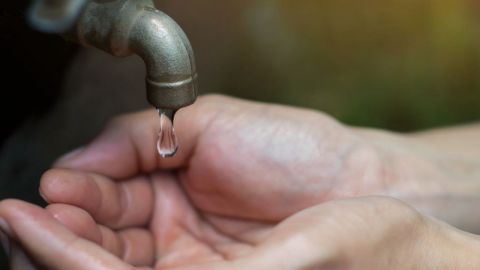 Sufren tijuanenses falta de agua por calor: CESPT