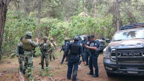 En Michoacán, hallan ocho cadáveres en un campamento de Cotija