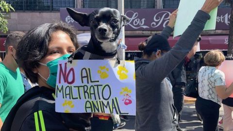 Protestan por Silver, el perrito asesinado en Estado de México; exigen justicia