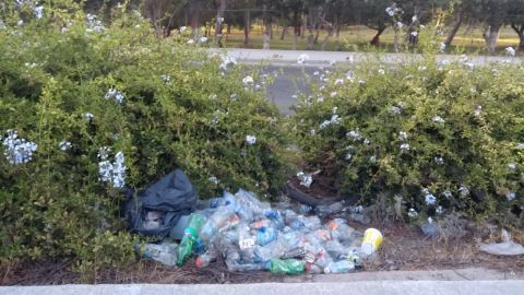 Irresponsables arrojan basura a camellón de Tijuana