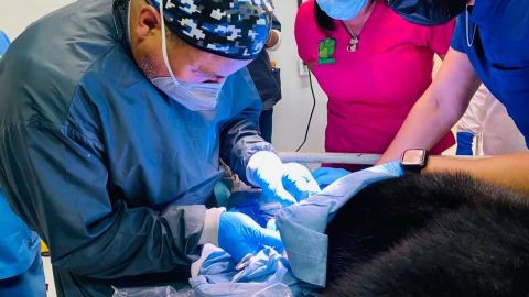 Operan dientes a ¡osos! en Tijuana