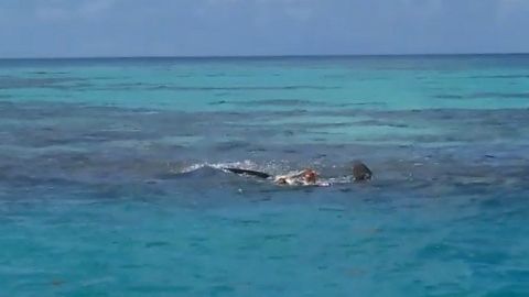 Cuerpo devorado por tiburones en Yucatán podría ser de un balsero cubano