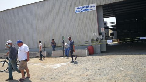 Suspenden a empresa harinera de El Sauzal de Ensenada