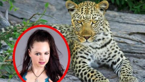 Leopardo ataca a modelo en sesión de fotos y la deja marcada de por vida
