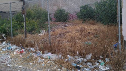 Cobertura del 98% en la recolección de la basura en Tijuana: Ayuntamiento